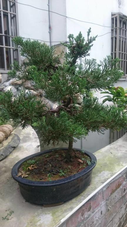 Zhixue 吾居吾宿 מראה חיצוני תמונה