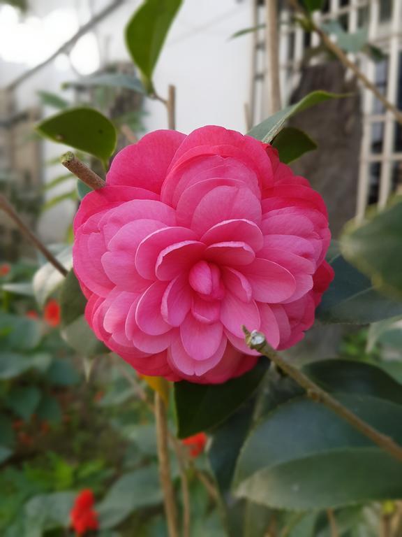 Zhixue 吾居吾宿 מראה חיצוני תמונה
